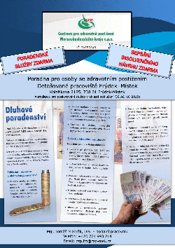 Dluhov poradenstv